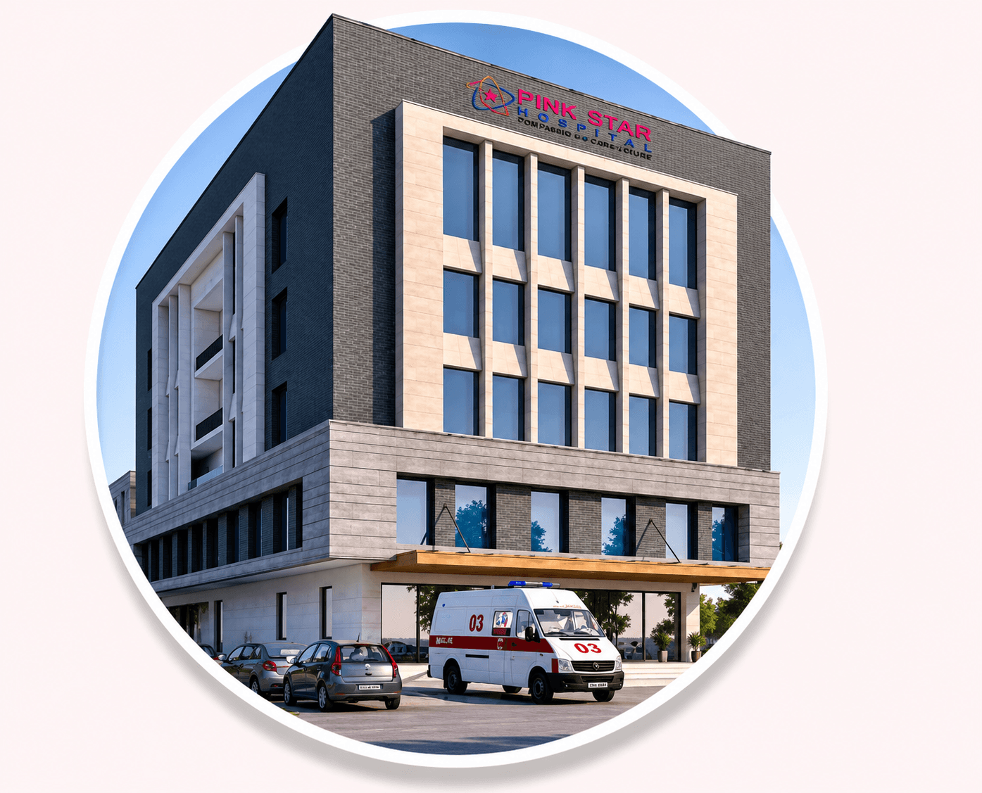 Pink Star Hospital