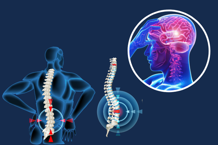 Best Brain Spine Injuries Hospital in Pratap Nagar