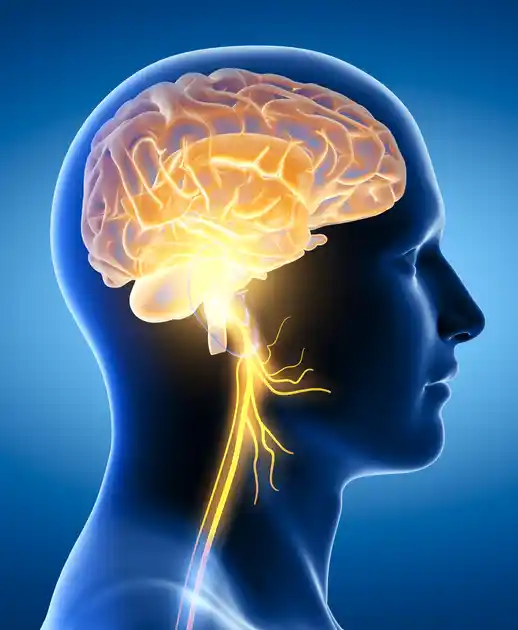 Best Neuro Hospital In Jaipur
