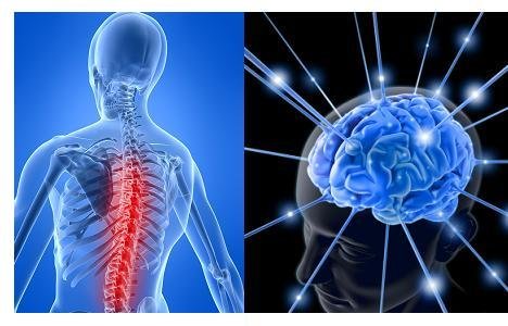 Best Brain Spine Injuries Hospital in Bapu Nagar
